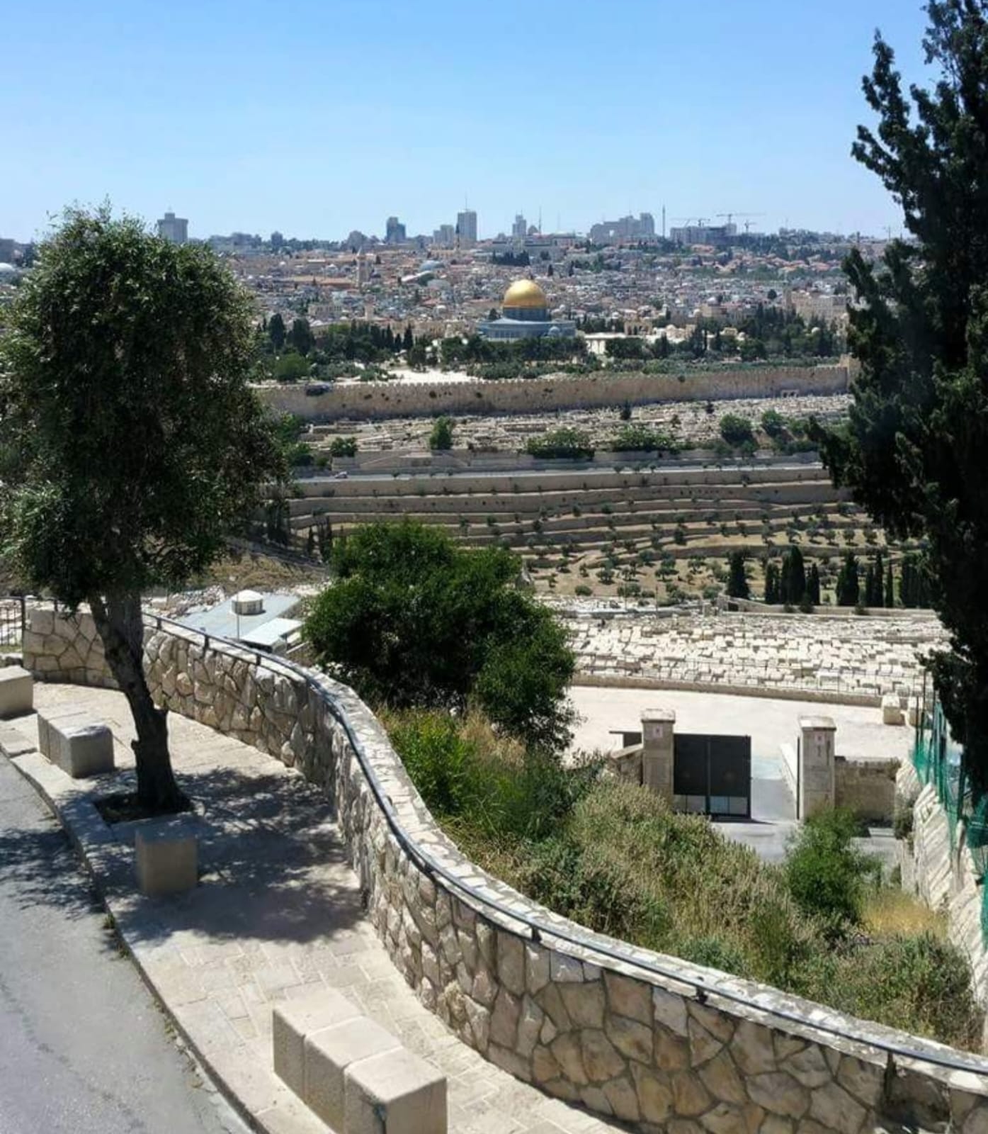 WhatsApp Image 2023-04-04 at 21.50.25