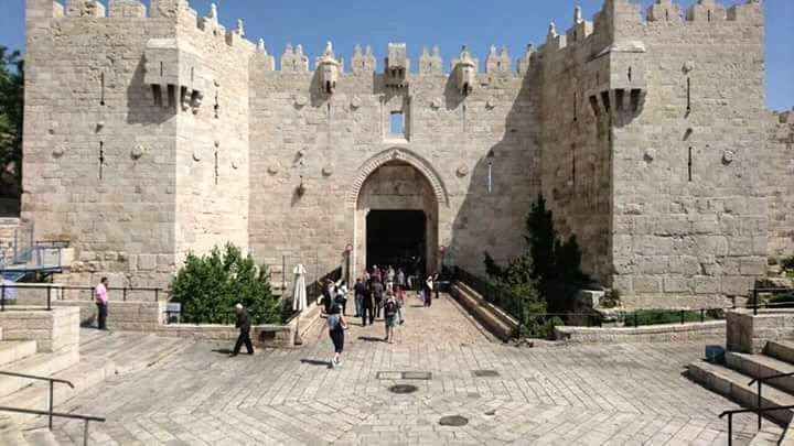 WhatsApp Image 2023-04-04 at 22.06.28