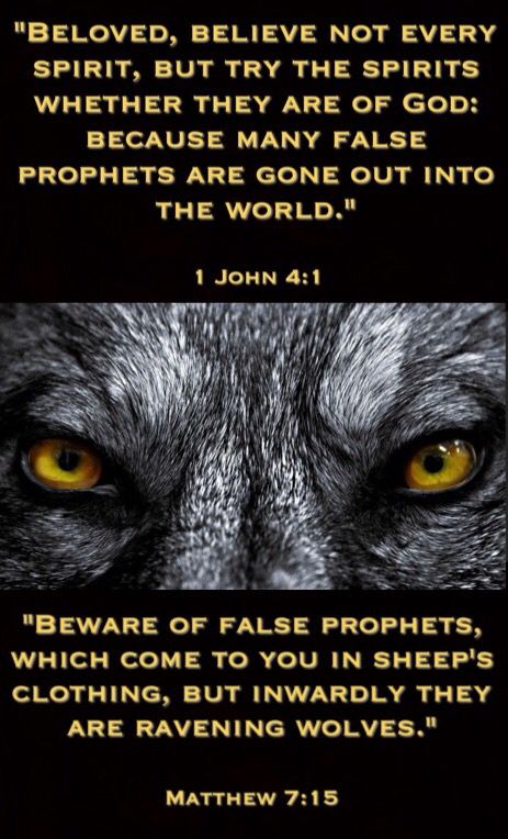 1dafc5e15192ab668ea1b25e8603c80b