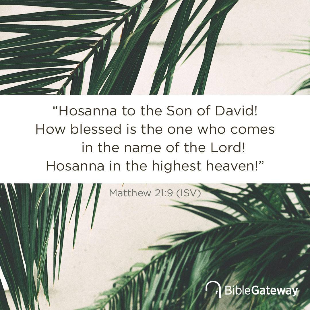 57116356_10157318122882010_7641582542910390272_n