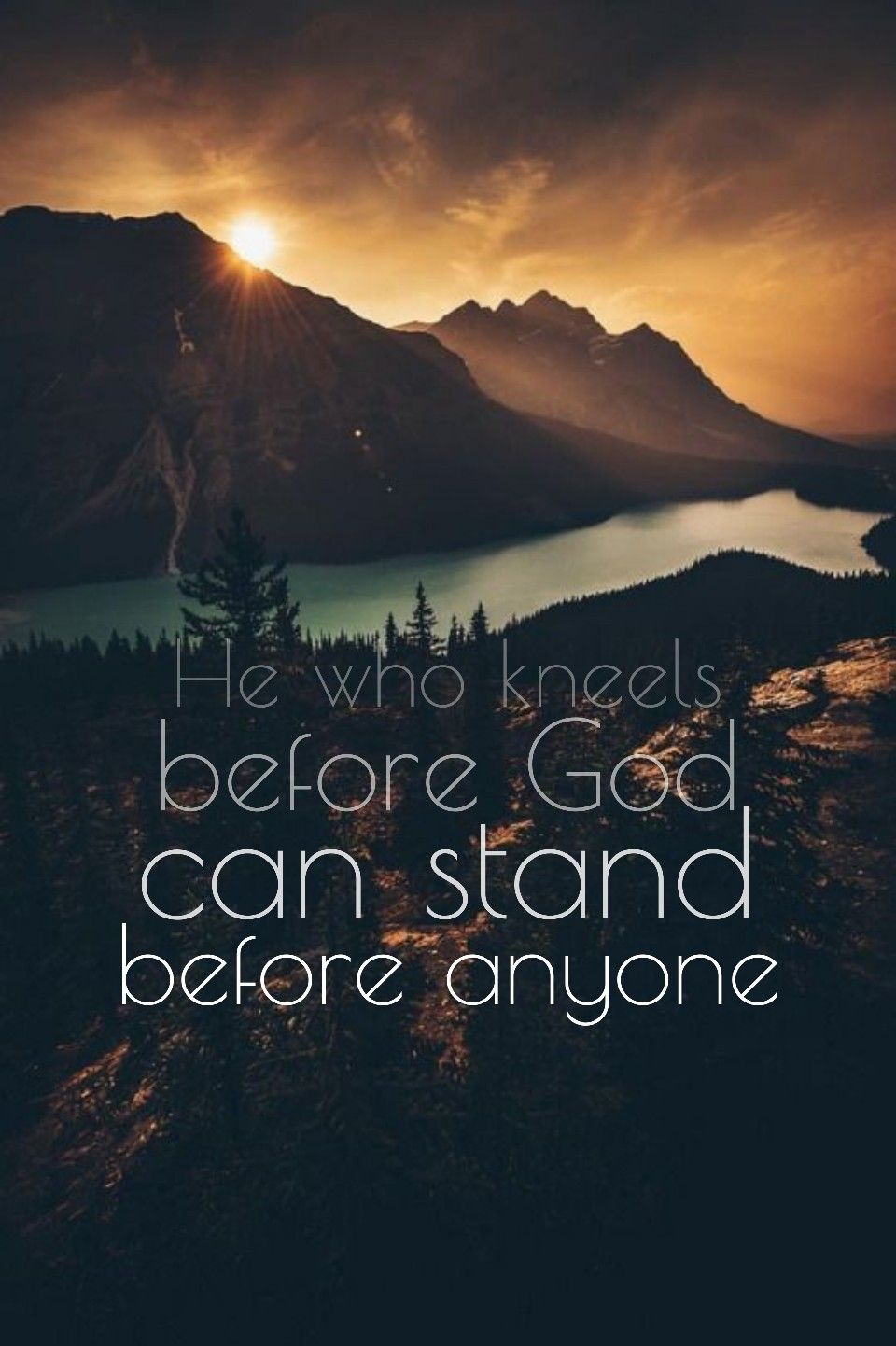 11a467a608085a50cd038b91982c7fdb