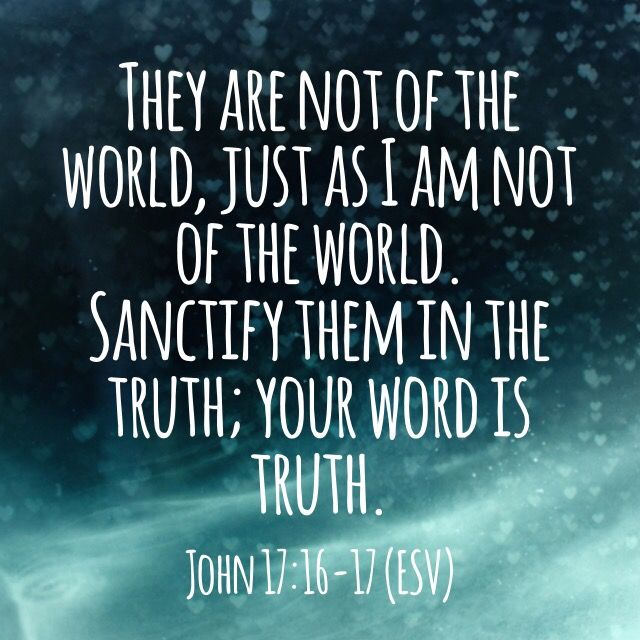 32d15bdd37e6c74703dda6fa7d0caa35