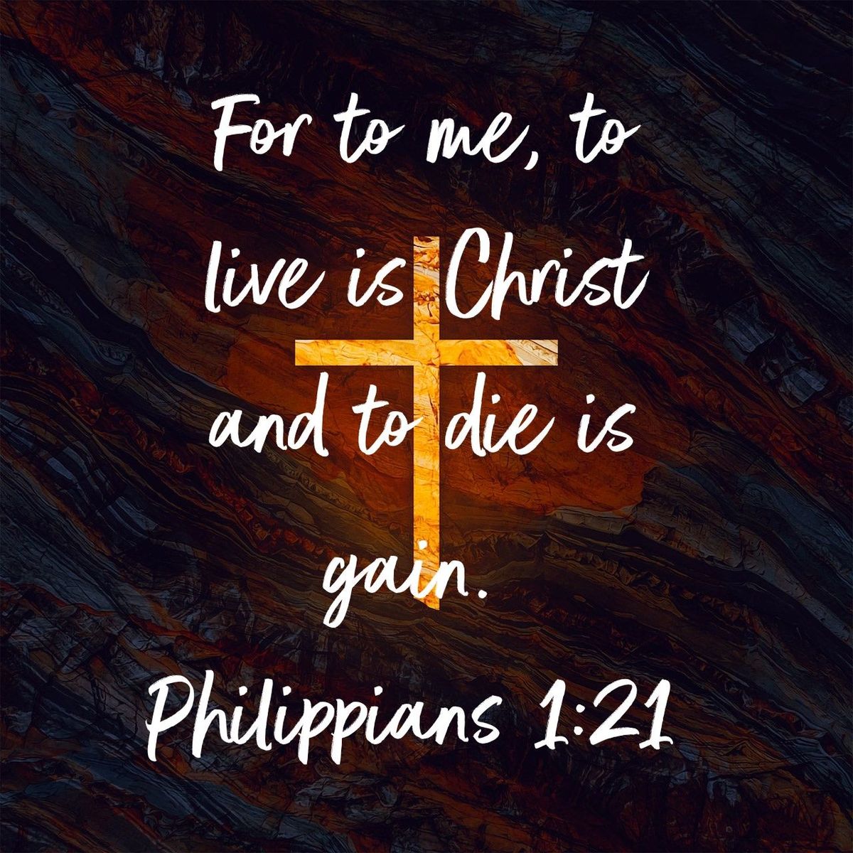 40ab900ea3be37fa7ea9288597ce8135