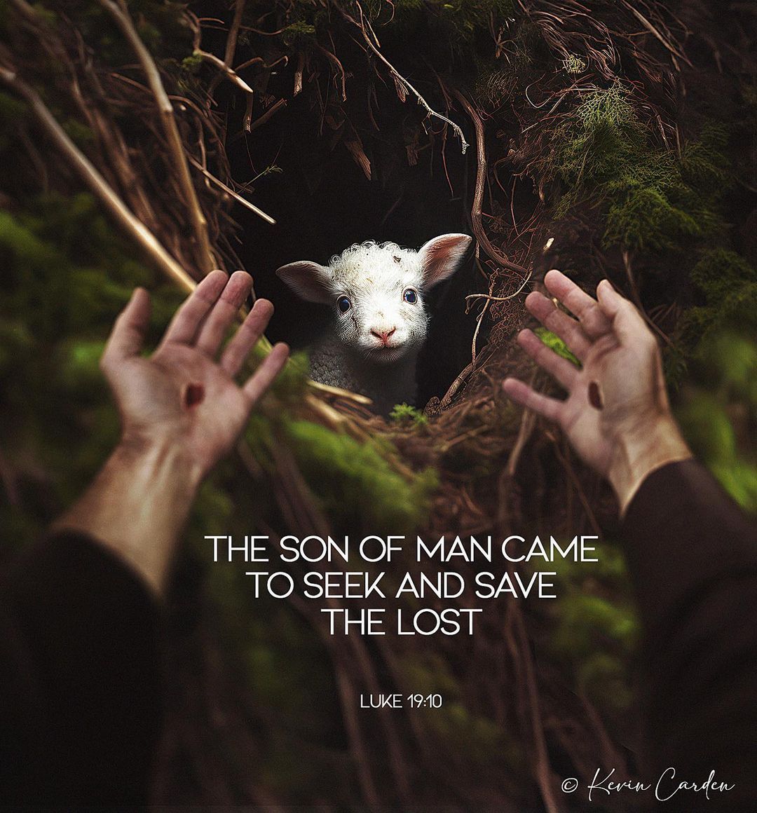 524627701_1192071472941230_5715456539668537970_n