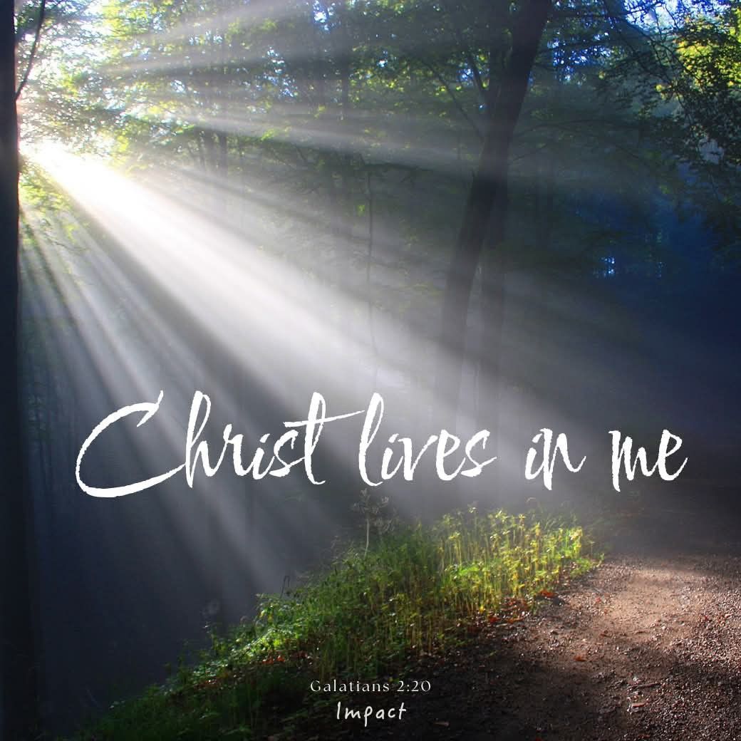 ec7aa052d76d330dec31001f3d9c075e