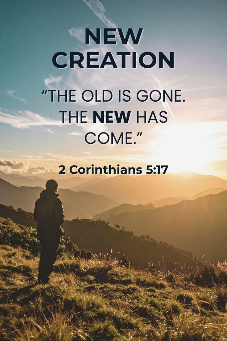 b8333da0de847031d3b586966b7e4be1