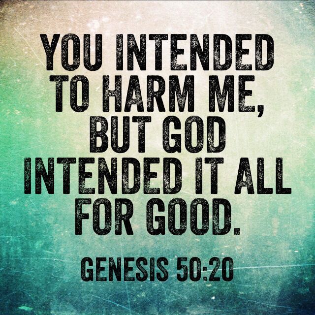 7aca6e10454994c879faf424b0235238